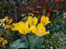 Апрель для гурманов