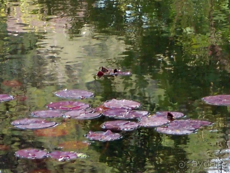 Апрель для гурманов