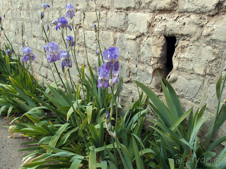 Апрель для гурманов