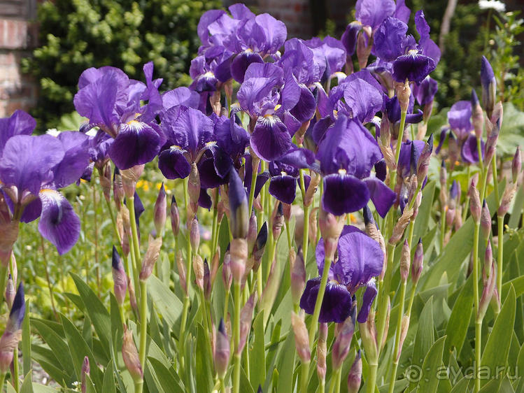 Апрель для гурманов