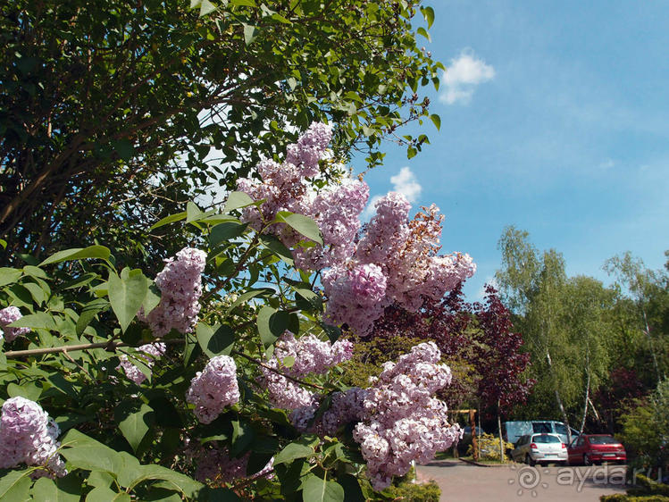 Апрель для гурманов