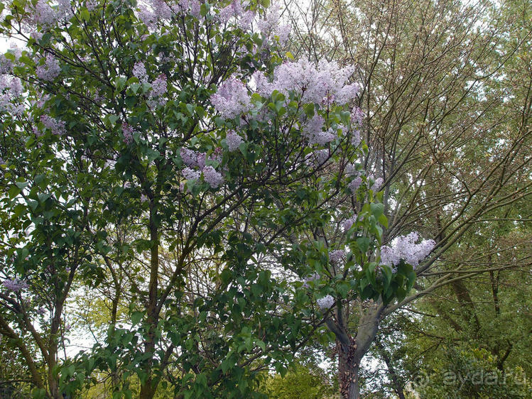 Апрель для гурманов