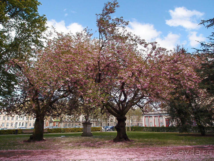 Апрель для гурманов