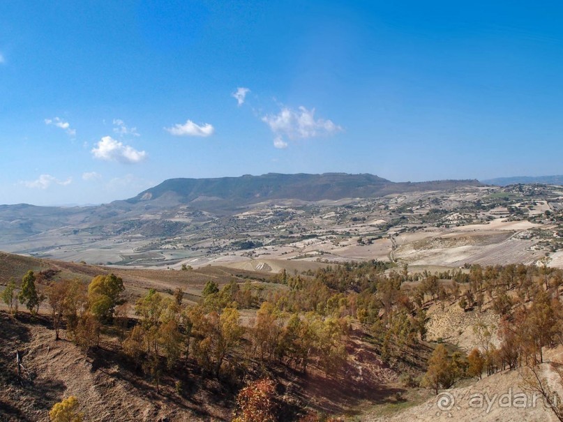 Сказ о мятежном бароне, отсечённых головах и библейских снах