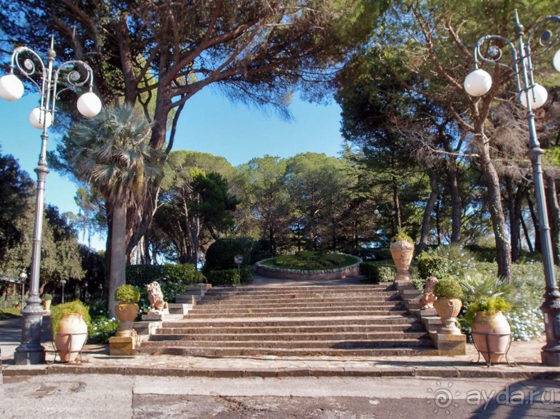 Сказ о мятежном бароне, отсечённых головах и библейских снах