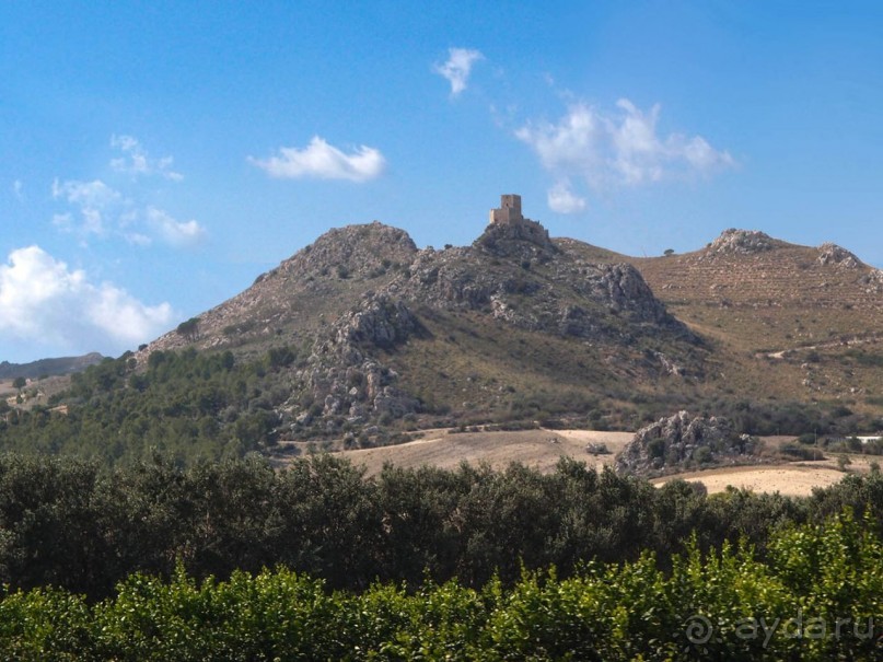 Сказ о мятежном бароне, отсечённых головах и библейских снах