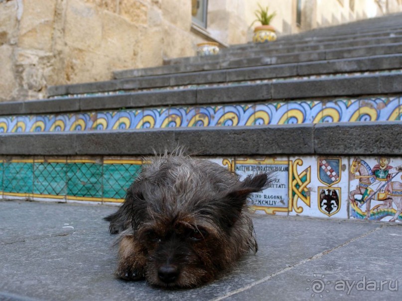 Сказ о мятежном бароне, отсечённых головах и библейских снах