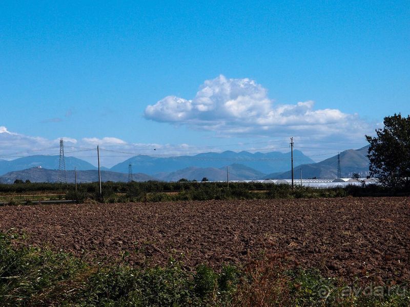 Деликатесы из молока буйволиц