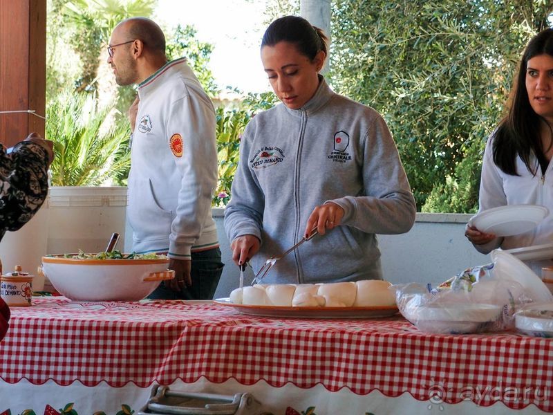 Деликатесы из молока буйволиц