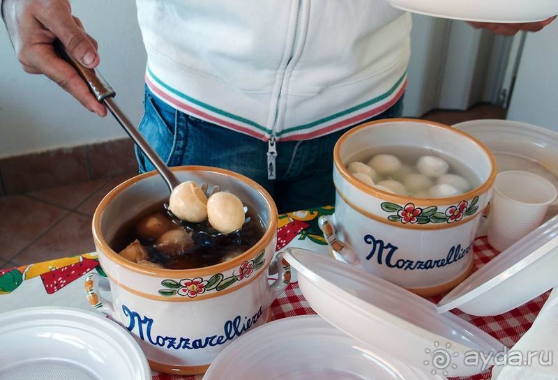 Деликатесы из молока буйволиц