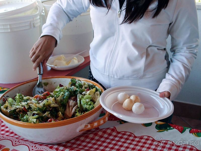 Деликатесы из молока буйволиц