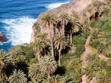 Альбом истории "Лавры и пальмы. Пейзажи Тенерифе"