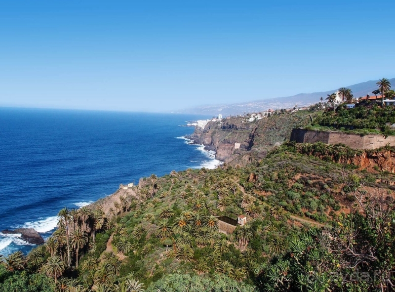 Альбом истории "Лавры и пальмы. Пейзажи Тенерифе"