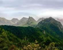 Альбом истории "Лавры и пальмы. Пейзажи Тенерифе"