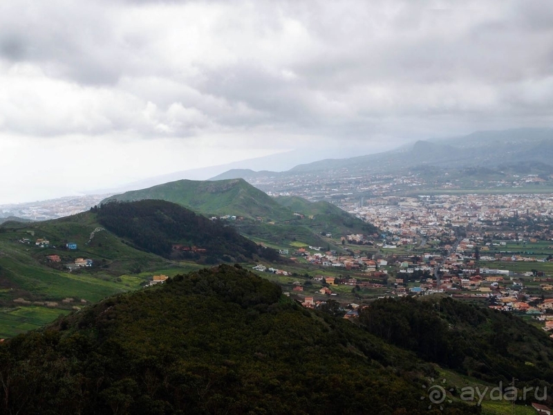 Альбом истории "Лавры и пальмы. Пейзажи Тенерифе"