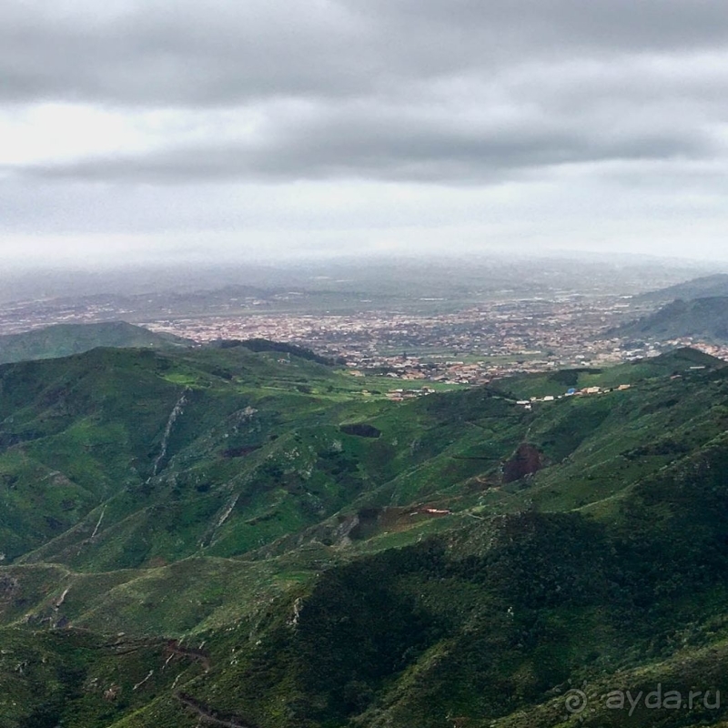 Альбом истории "Лавры и пальмы. Пейзажи Тенерифе"