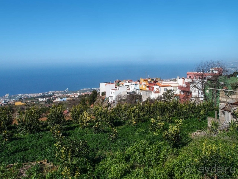 Альбом истории "Лавры и пальмы. Пейзажи Тенерифе"