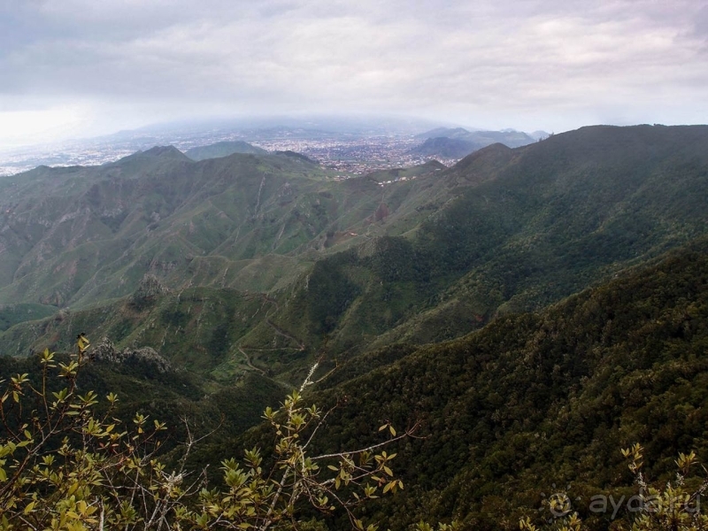 Альбом истории "Лавры и пальмы. Пейзажи Тенерифе"