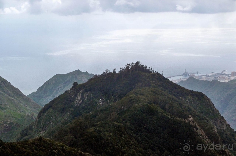 Альбом истории "Лавры и пальмы. Пейзажи Тенерифе"
