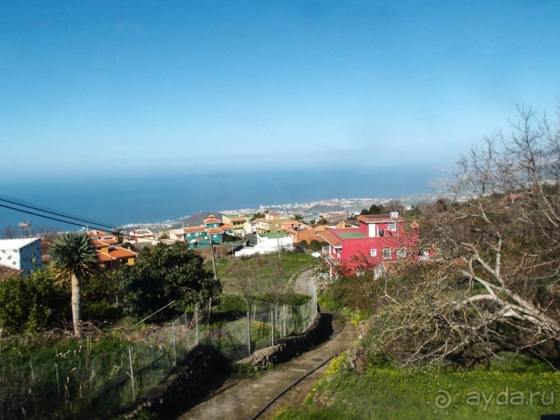 Альбом истории "Лавры и пальмы. Пейзажи Тенерифе"