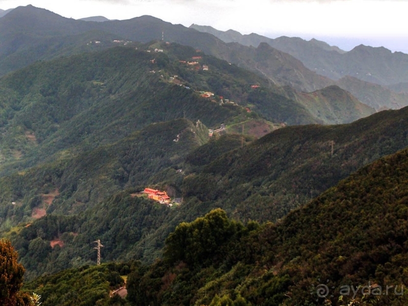 Альбом истории "Лавры и пальмы. Пейзажи Тенерифе"