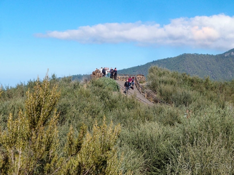 Альбом истории "Лавры и пальмы. Пейзажи Тенерифе"