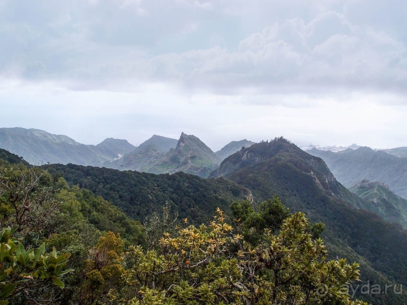 Альбом истории "Лавры и пальмы. Пейзажи Тенерифе"