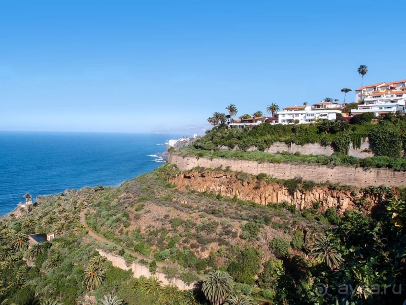 Альбом истории "Лавры и пальмы. Пейзажи Тенерифе"