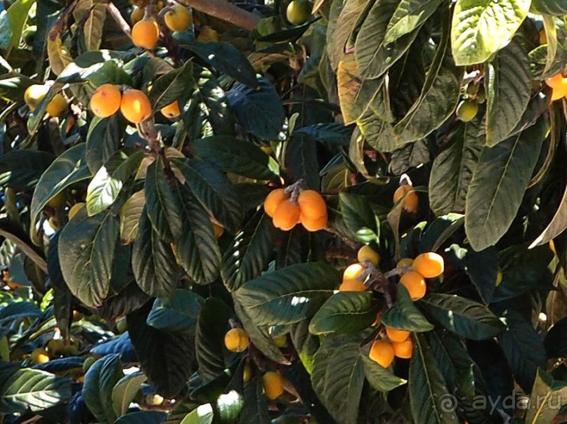 Город Мастеров