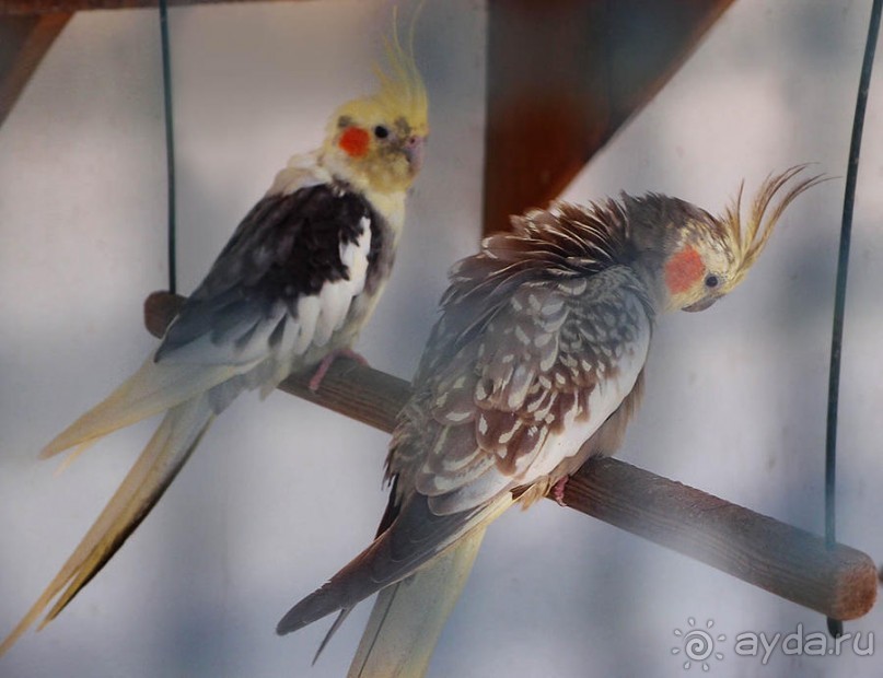 Город Мастеров