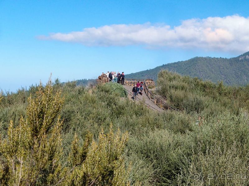Лавры и пальмы. Пейзажи Тенерифе 