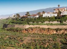 Лавры и пальмы. Пейзажи Тенерифе 