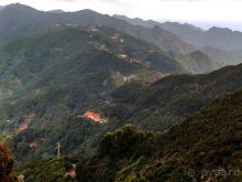 Лавры и пальмы. Пейзажи Тенерифе 