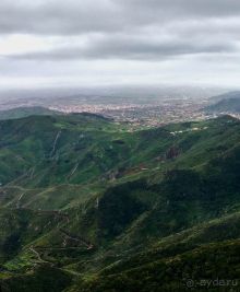 Лавры и пальмы. Пейзажи Тенерифе 