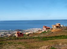 Лавры и пальмы. Пейзажи Тенерифе 