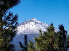 Лавры и пальмы. Пейзажи Тенерифе 