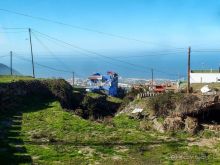 Лавры и пальмы. Пейзажи Тенерифе 