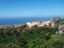 Лавры и пальмы. Пейзажи Тенерифе 