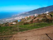 Лавры и пальмы. Пейзажи Тенерифе 