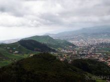 Лавры и пальмы. Пейзажи Тенерифе 