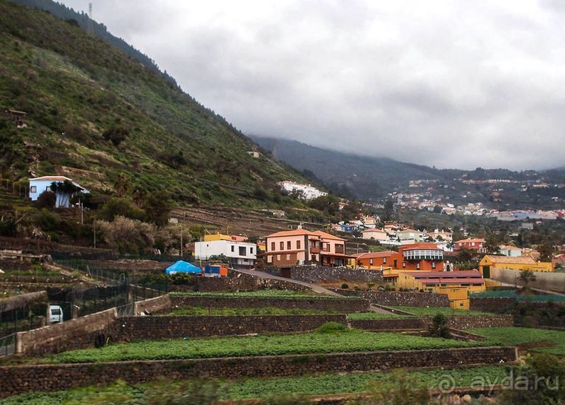 Лавры и пальмы. Пейзажи Тенерифе 