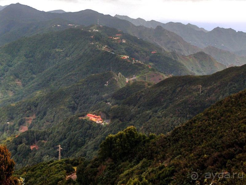 Лавры и пальмы. Пейзажи Тенерифе 