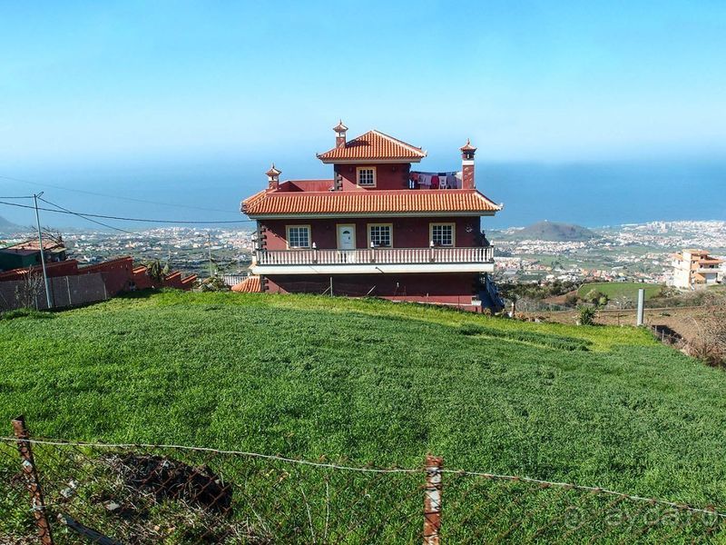 Лавры и пальмы. Пейзажи Тенерифе 