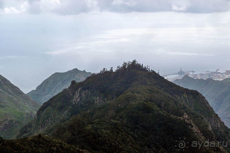 Лавры и пальмы. Пейзажи Тенерифе 