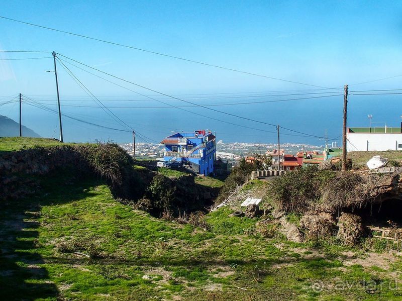 Лавры и пальмы. Пейзажи Тенерифе 
