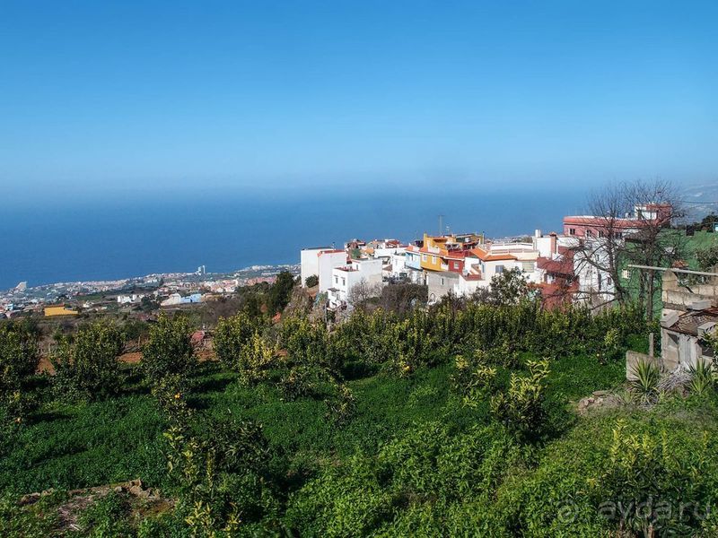 Лавры и пальмы. Пейзажи Тенерифе 