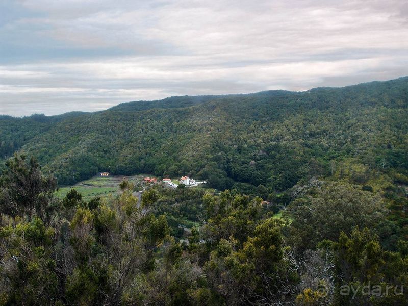 Лавры и пальмы. Пейзажи Тенерифе 