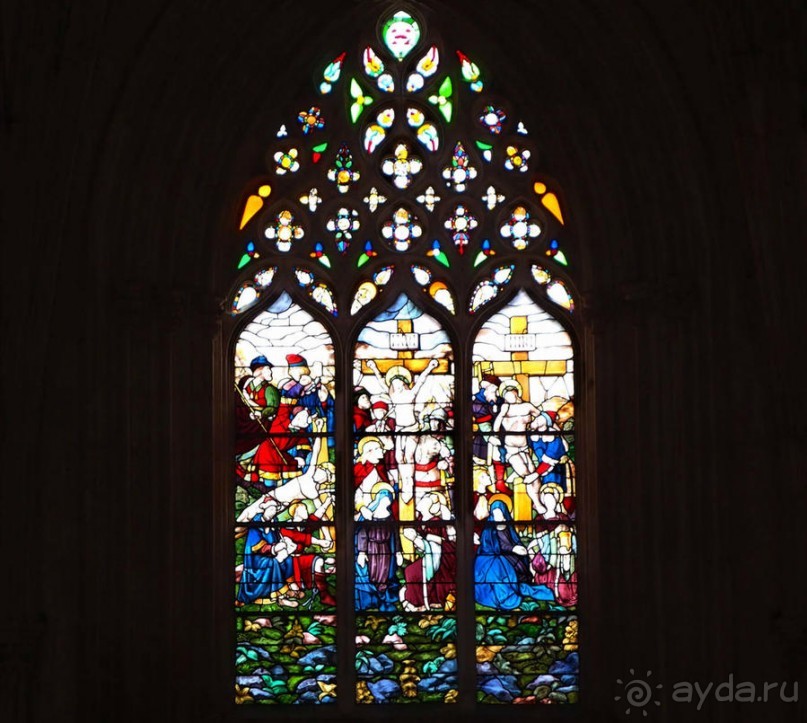 Битва и сюрпризы