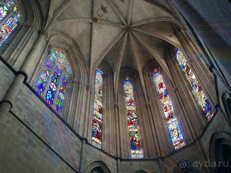 Битва и сюрпризы