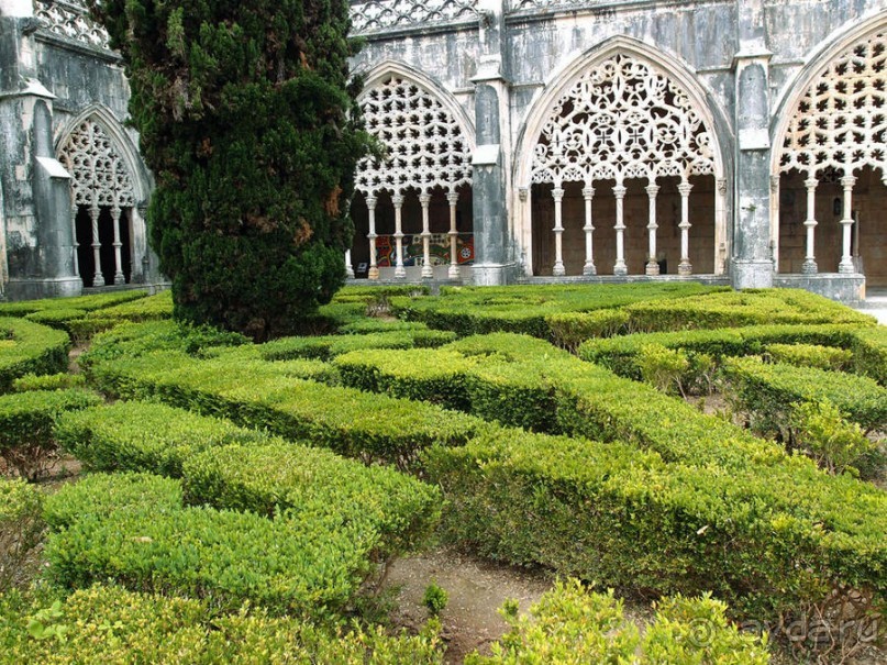 Битва и сюрпризы